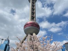 -东方明珠广播电视塔