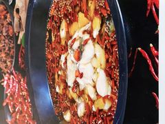 -蜀龙阁· 龍头水煮鱼(天坛店)