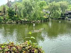 -中山詹园