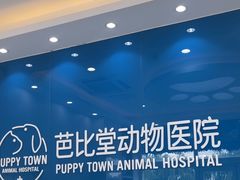 -芭比堂动物医院·CT·微创中心(新顺分院)