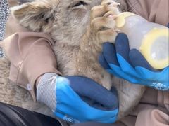 -鄂尔多斯野生动物园