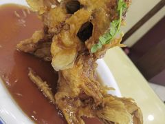 -聚丰德饭店(经五路店)