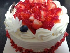 -幸福鸟动物奶油生日蛋糕(军校店)