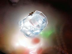 -GIA CARAT BAR 克拉概念店