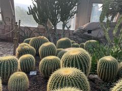 -北京植物园-展览温室