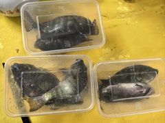 -莲湖山庄