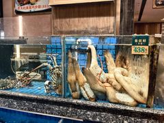 -聚福宝合苑食府(南头镇店)