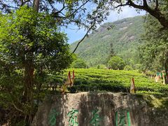 -姑婆山旅游区