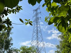 -桤木河湿地公园