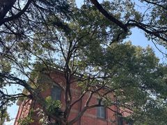 -上海佘山国家森林公园西佘山园