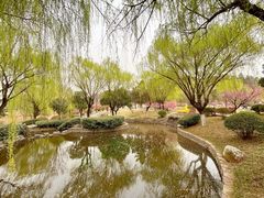 -鹦鹉寺公园