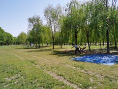 -东坝千亩湖公园