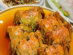 -璞御·海鲜·雪花牛肉局(宾水西道店)
