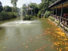 -武汉紫薇都市田园