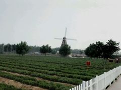 -渔岛海洋度假区