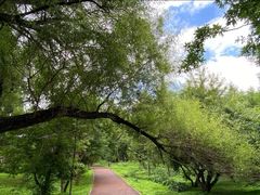 -长春市南湖公园