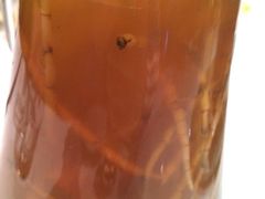 -新沸腾鱼乡(世贸天阶店)