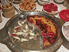 -红九格老火锅(三峡广场店)