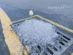 -松松咖啡