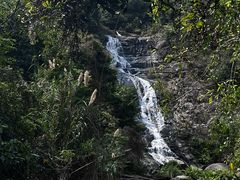 -马峦山郊野公园