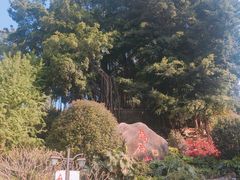-乌山风景区