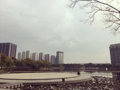 -南翔镇银翔湖公园