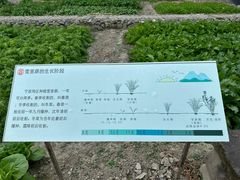 -鄞州雪菜博物馆