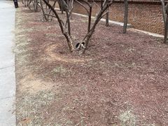 -北京西山国家森林公园