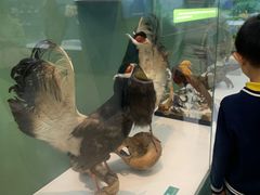 -国家自然博物馆