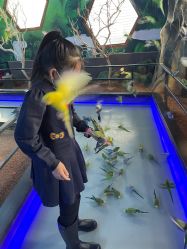 -未来动物城动物主题公园(大悦城店)