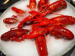 -红盔甲·小龙虾(人民广场店)