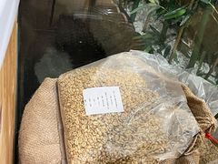 -COMPANION COFFEE小伴咖啡