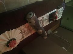 iphone_upload_pic-北纬37°SPA养身会馆(湖西店)