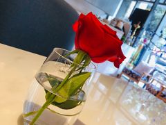 -伊斯坦布尔土耳其清真咖啡餐厅