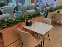 -郑州新郑国际机场-T2航站楼