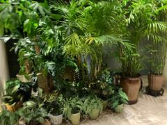 -丽思卡尔顿酒店泳池(金融街店)