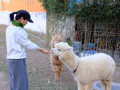 -云栖山谷露营地·团建年会·生日派对