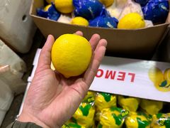-深圳市海吉星国际农产品物流管理有限公司