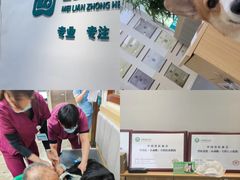 -美联众合动物医院·24h转诊中心