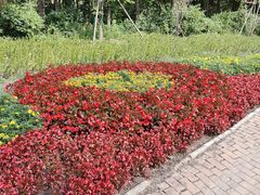 -黑龙江省森林植物园