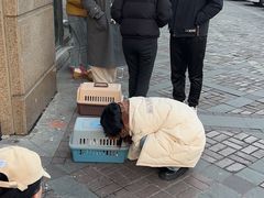 -灵美宠物诊所
