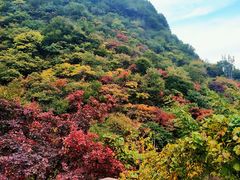 -神农山景区