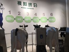 -君乐宝优致牧场