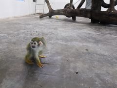 -西安秦岭野生动物园