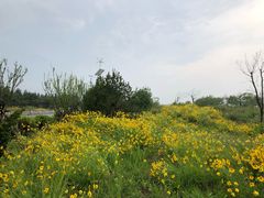 -青岛银沙滩