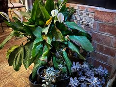 -后谷咖啡(建设巷店)