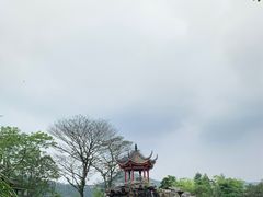 -顺峰山公园