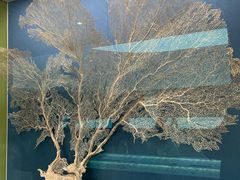 -中国湿地博物馆