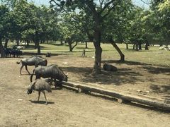 秦岭野生动物园-西安秦岭野生动物园