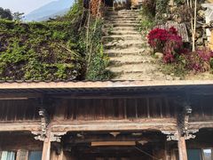 -杨家堂村